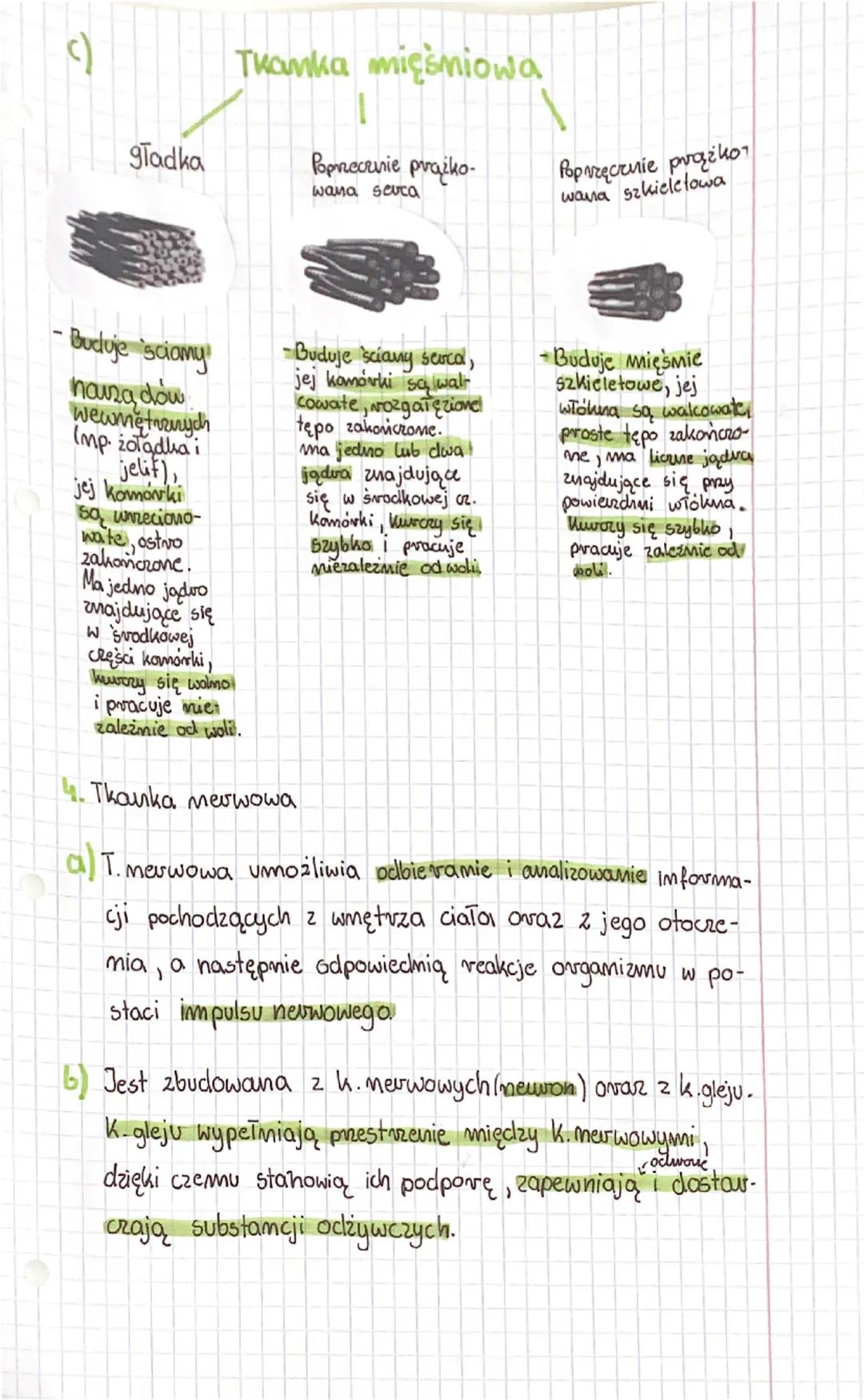 Biologia
A. Ciała zwierząt są zbudowane z tkanki mabłonkowej,
Tkamki zwierace
T. mabłonkowa
-występuje ma
powiezdni
ciała zwie-
ząt oraz
wyś