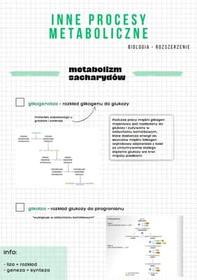 Know Inne procesy metaboliczne NOTATKA thumbnail