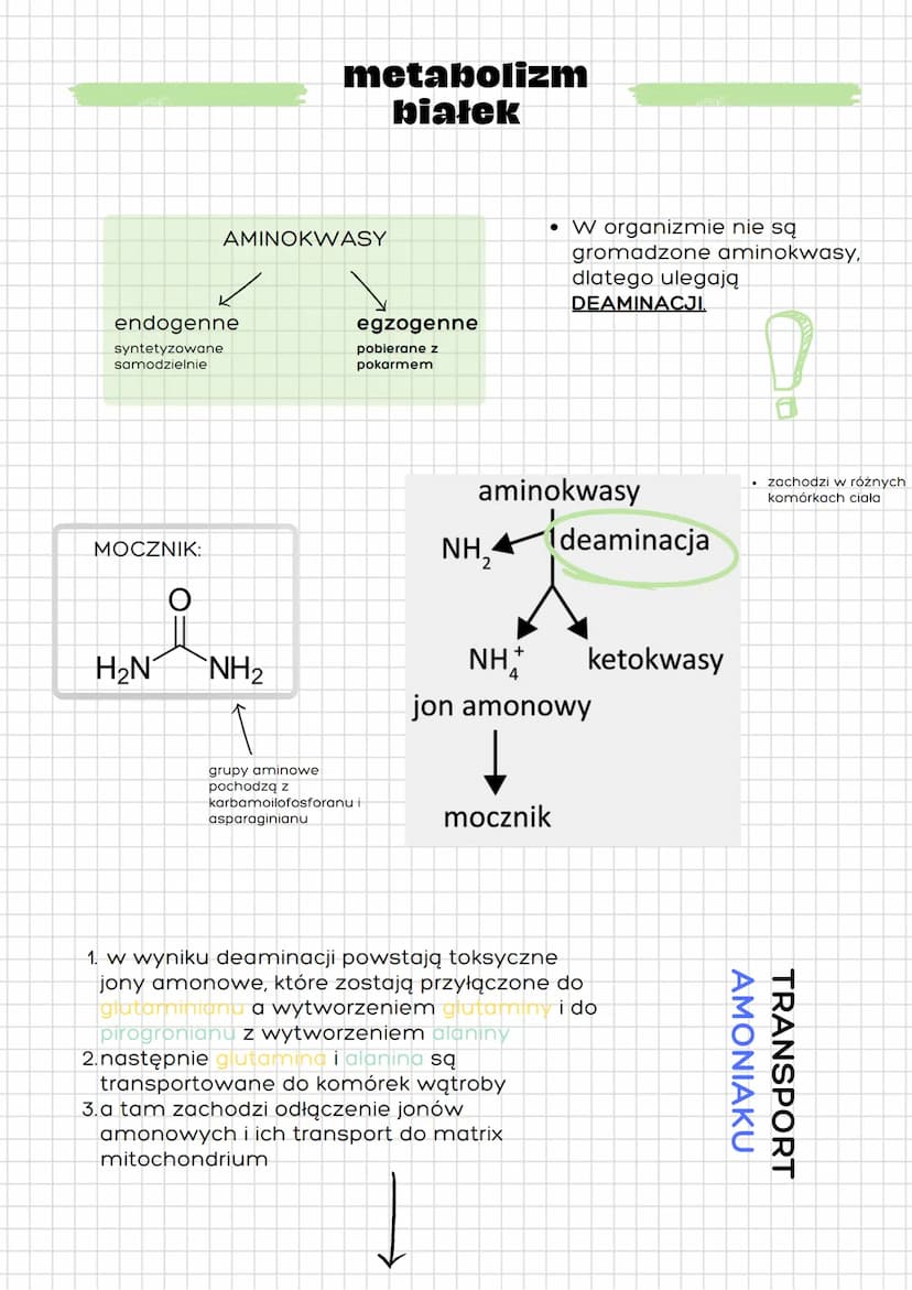 info:
CYKLAZA
ADENYLOWA
(nieaktywna)
INNE PROCESY
METABOLICZNE
glikogenoliza - rozkład glikogenu do glukozy
ADRENALINA
materiału zapasowego 