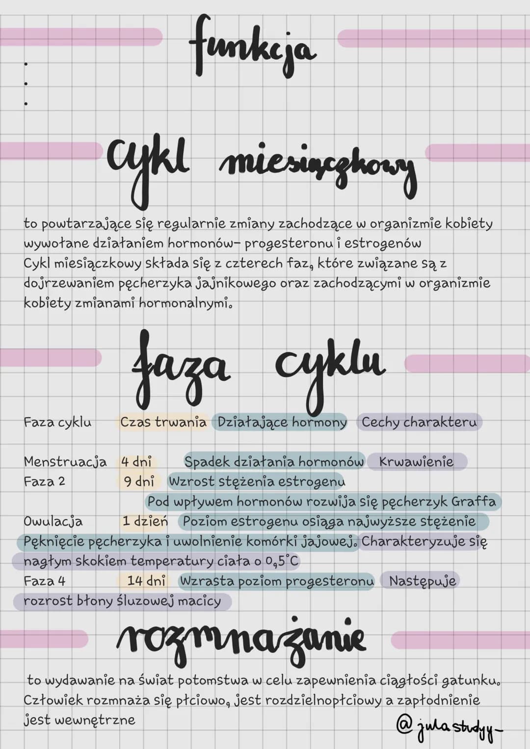 Fazy cyklu miesiączkowego: Jak to działa i jak wpływa na samopoczucie?
