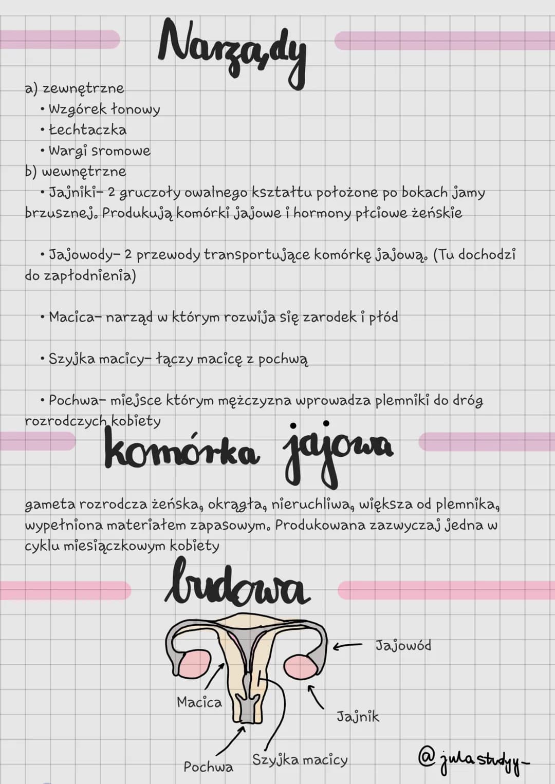 Fazy cyklu miesiączkowego: Jak to działa i jak wpływa na samopoczucie?