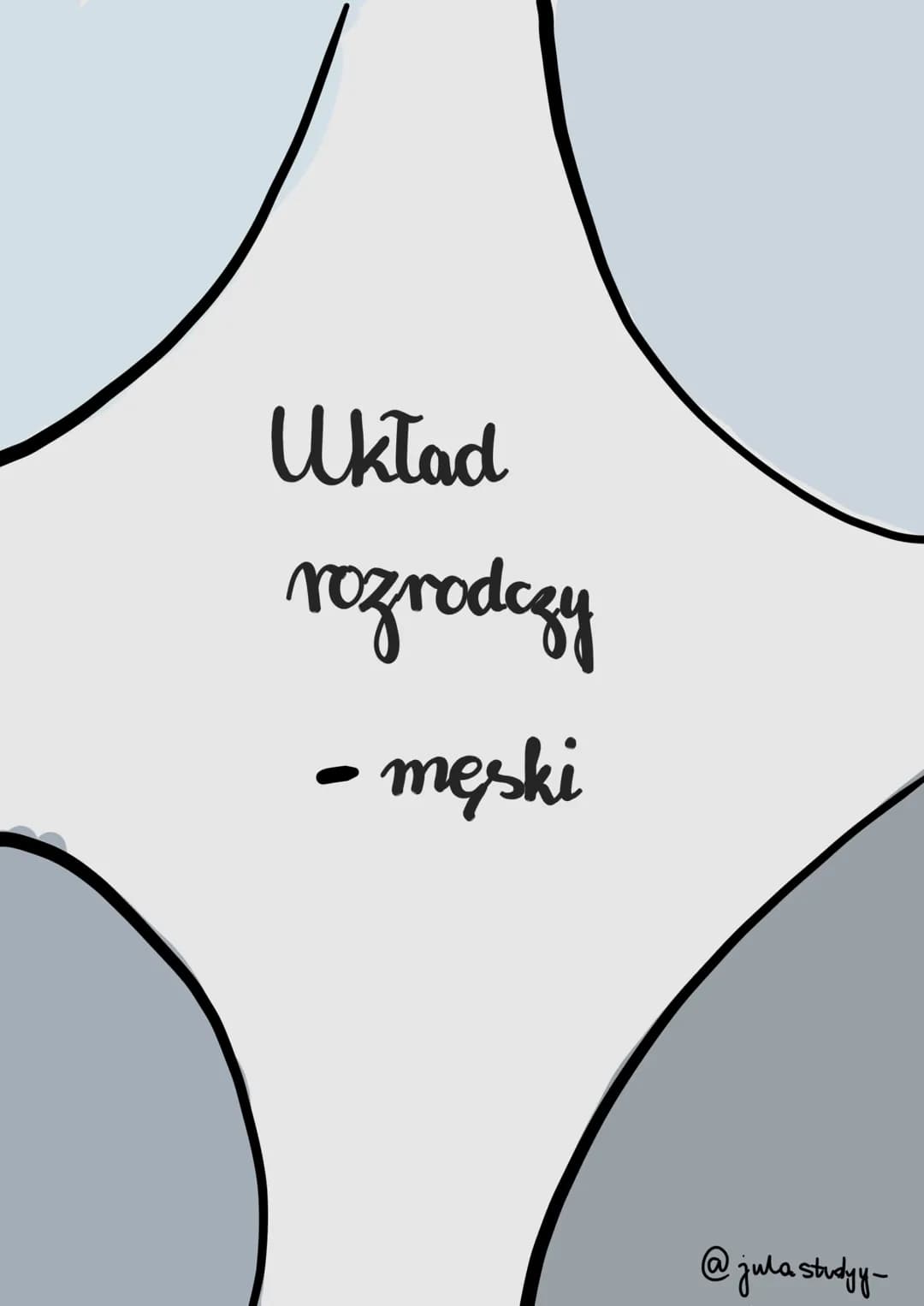 Fazy cyklu miesiączkowego: Jak to działa i jak wpływa na samopoczucie?