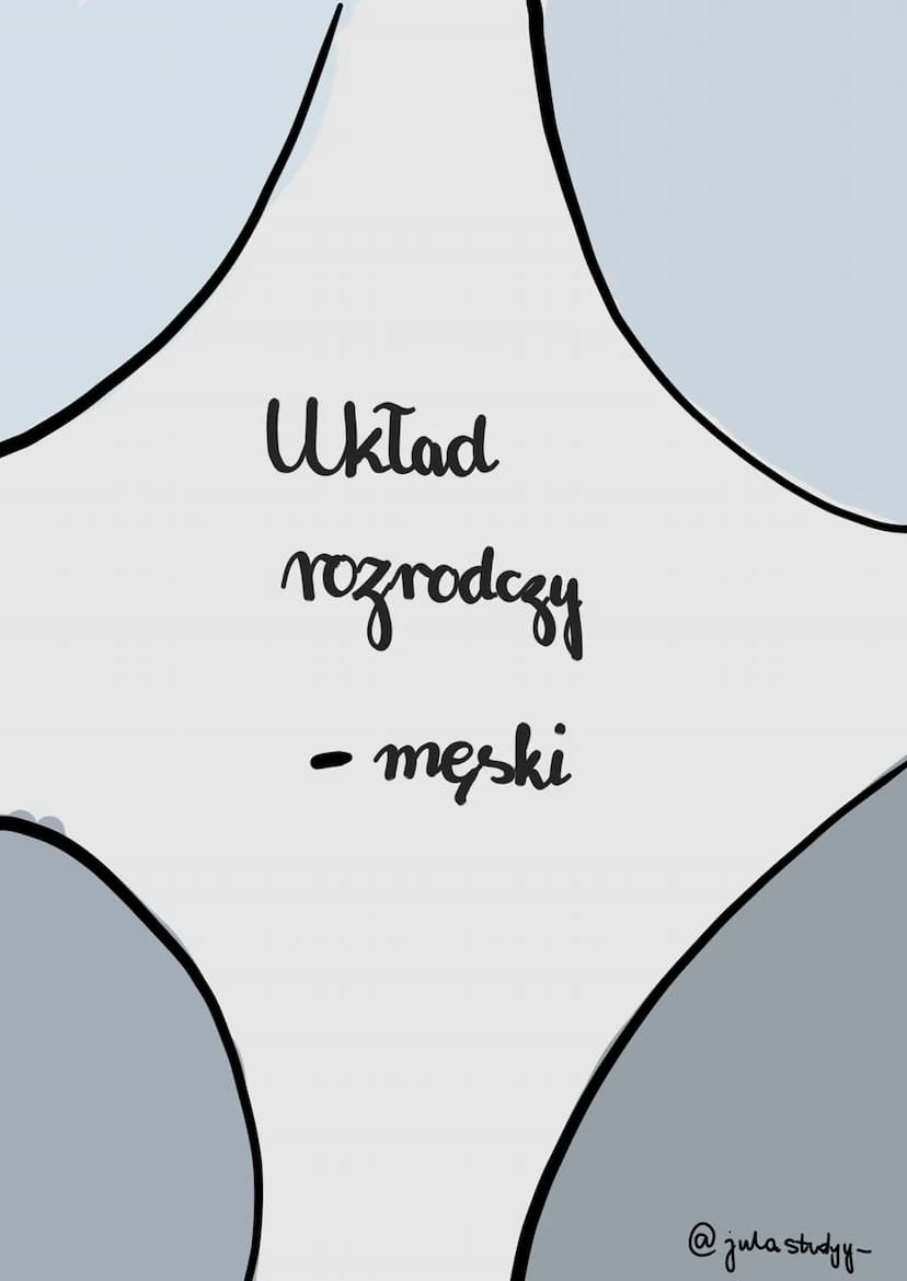 Układ
hesparkar
усмор
@jula studyy- funkeja
cykl miesingsghowy
to powtarzające się regularnie zmiany zachodzące w organizmie kobiety
wywołan