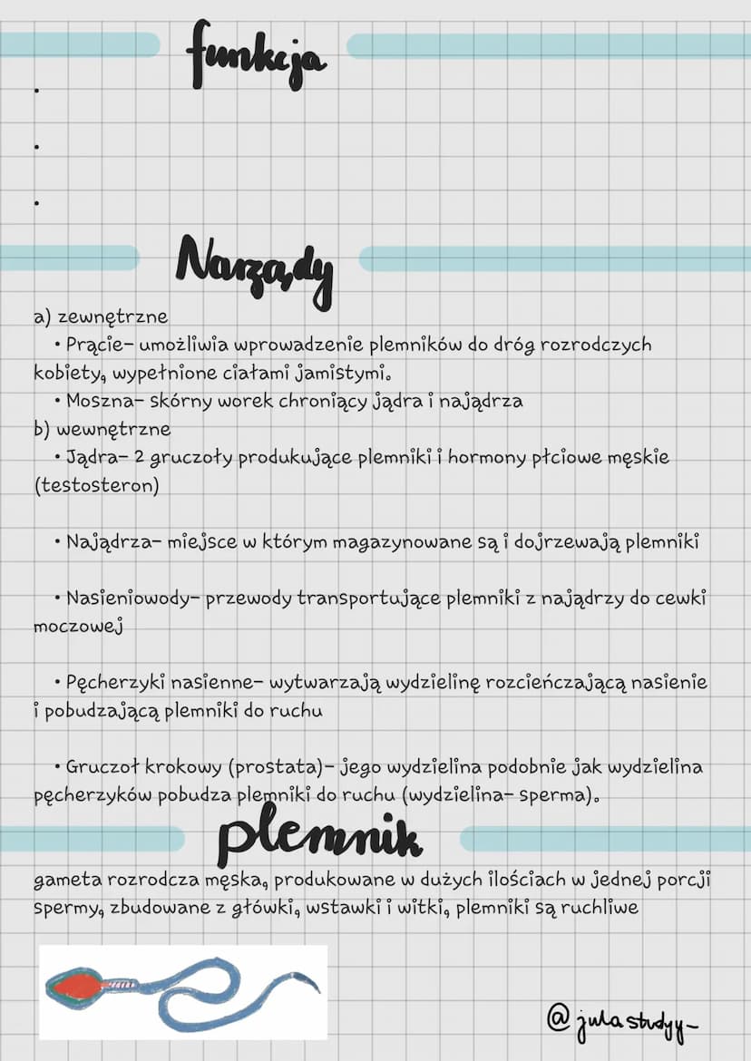Układ
hesparkar
усмор
@jula studyy- funkeja
cykl miesingsghowy
to powtarzające się regularnie zmiany zachodzące w organizmie kobiety
wywołan