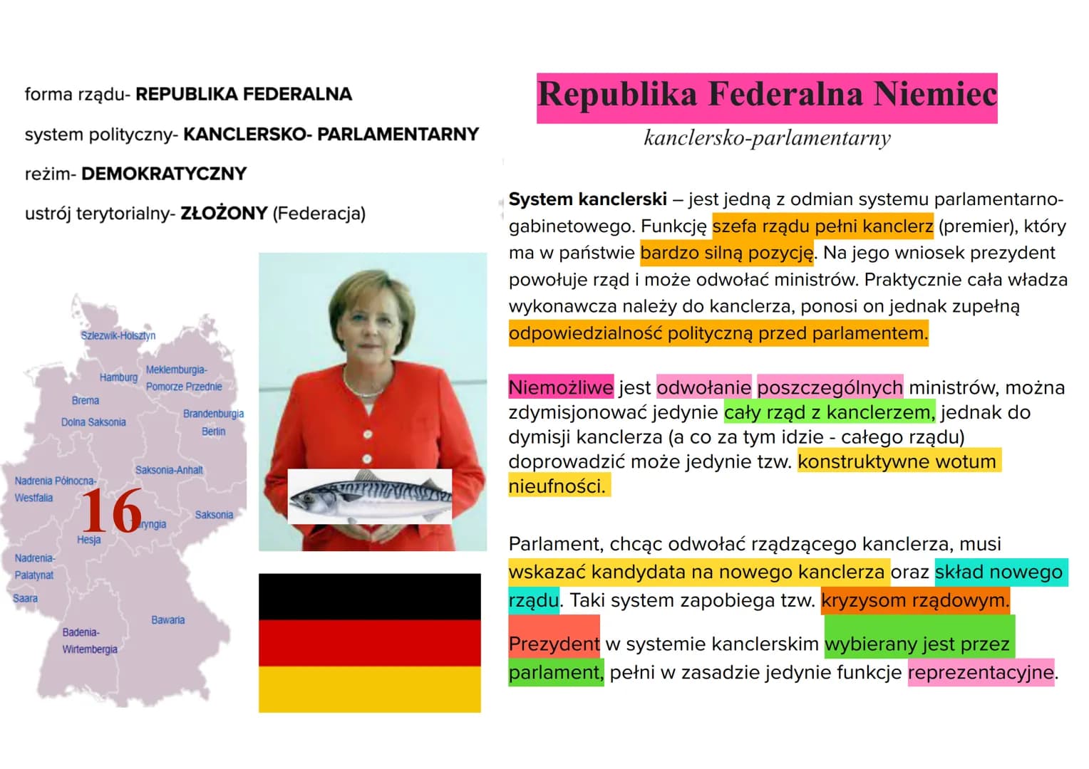 forma rządu- REPUBLIKA FEDERALNA
system polityczny- KANCLERSKO- PARLAMENTARNY
reżim- DEMOKRATYCZNY
ustrój terytorialny- ZŁOŻONY (Federacja)
