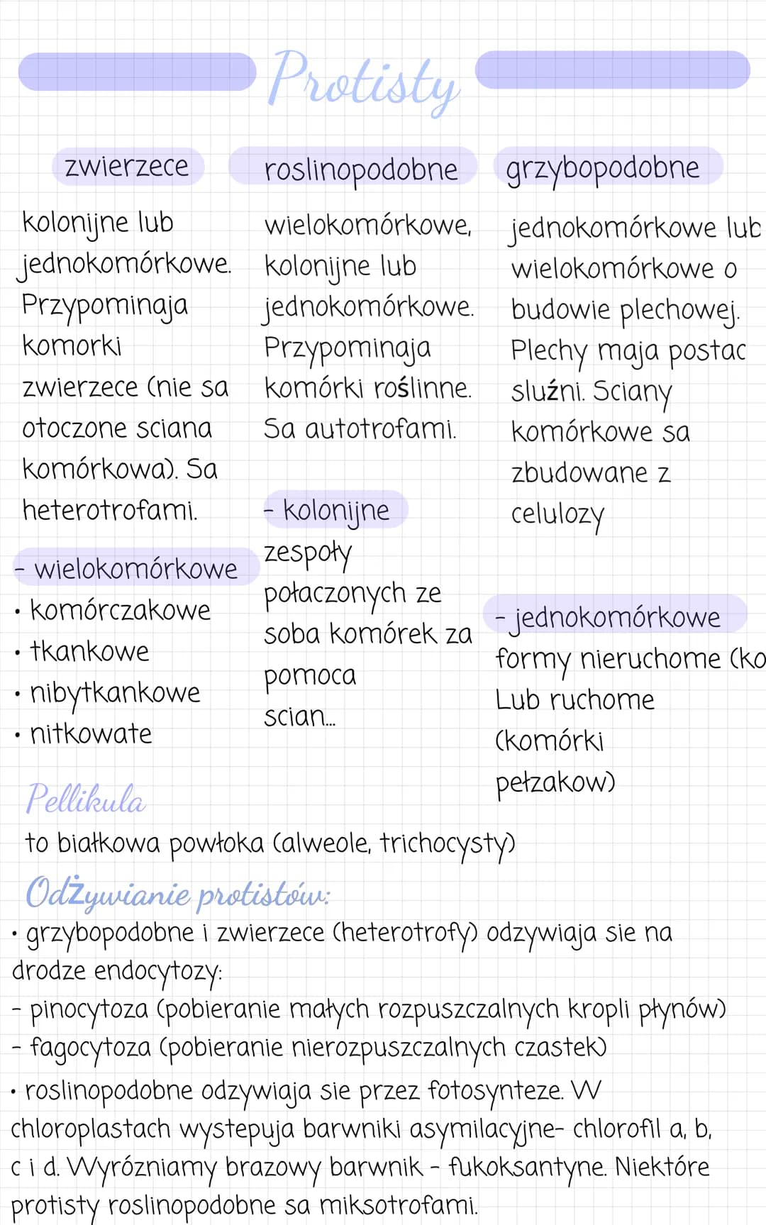 zwierzece
kolonijne lub
jednokomórkowe.
Przypominaja
●
komórkowa). Sa
heterotrofami.
- wielokomórkowe
• komórczakowe
komorki
zwierzece (nie 