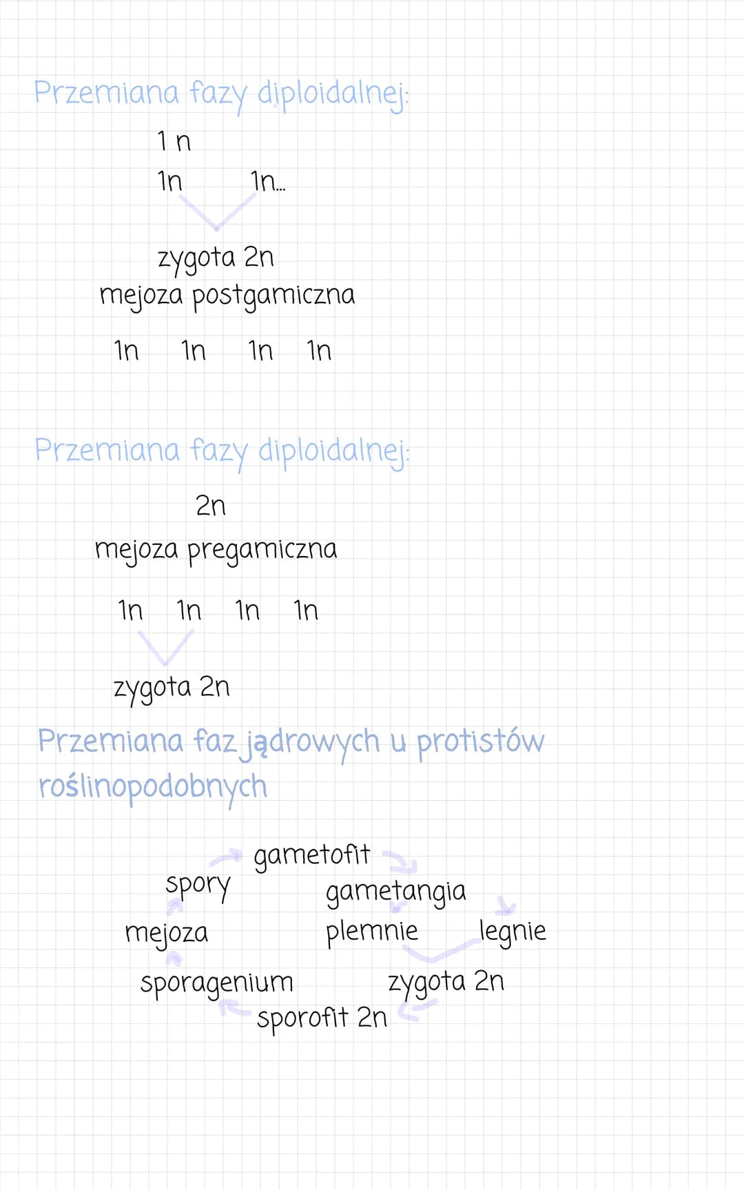 zwierzece
kolonijne lub
jednokomórkowe.
Przypominaja
●
komórkowa). Sa
heterotrofami.
- wielokomórkowe
• komórczakowe
komorki
zwierzece (nie 