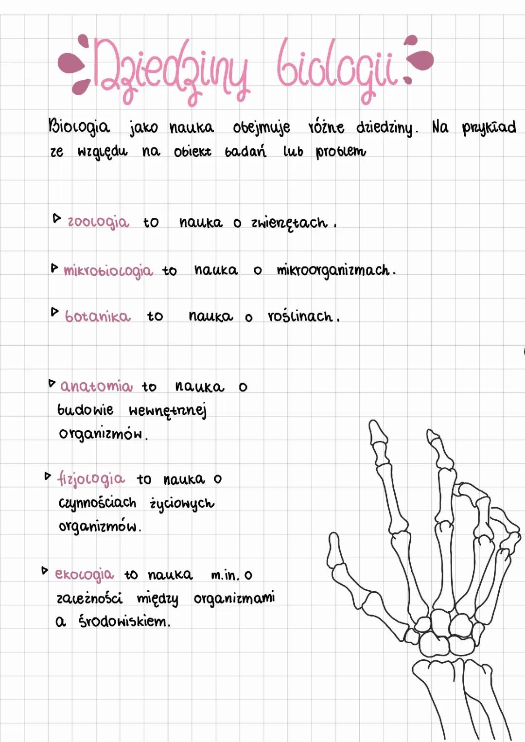 Jakie są dziedziny biologii? Biologia w 5 klasie i co się uczysz