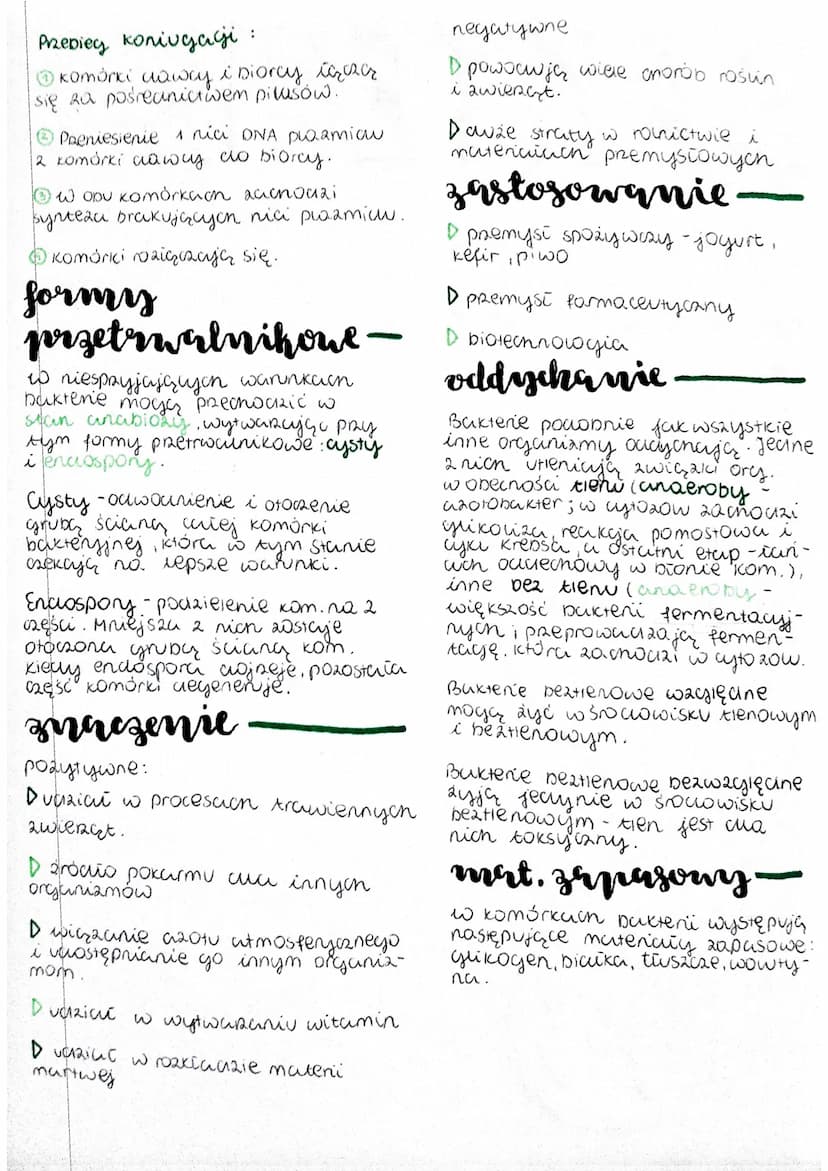 
<p>Bakterie to organizmy prokariotyczne, które należą do królestwa archebakterii oraz eubakterii (bakterie właściwe). Budowa komórki bakter