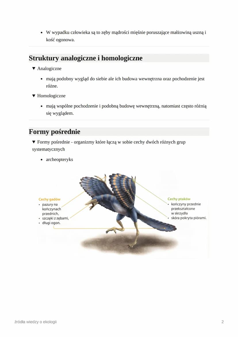 źródła wiedzy o ekologii
Dowody ewolucji
▾ Bezpośrednie - pozwalają śledzić kolejność pojawiania się poszczególnych form
organizmów.
• formy