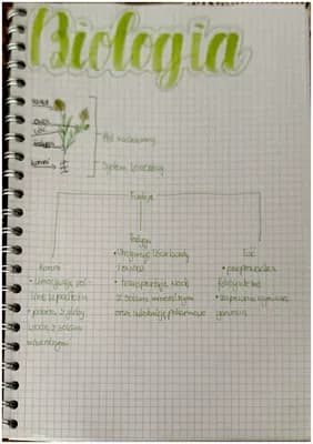 Know Notatka biologia korzeń liść łodyga  thumbnail