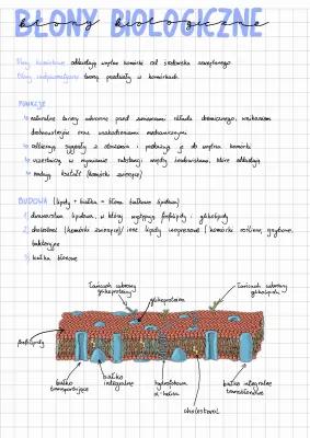 Know Błony biologiczne thumbnail