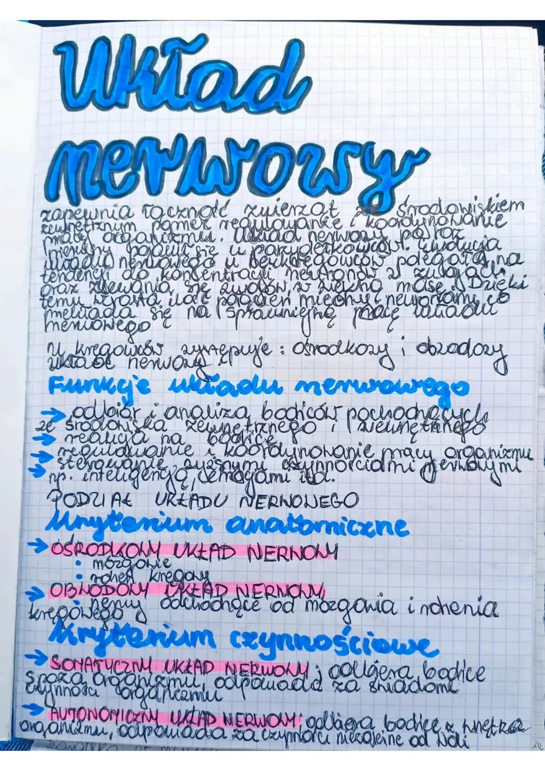 Układ
Merworry
zapewnia to
zuierzat
Środowiskiem
zewnetrznym pomer requlowance i koordwnowanie
Stok
maty organizmes. Allrad
mens nerowed u
p