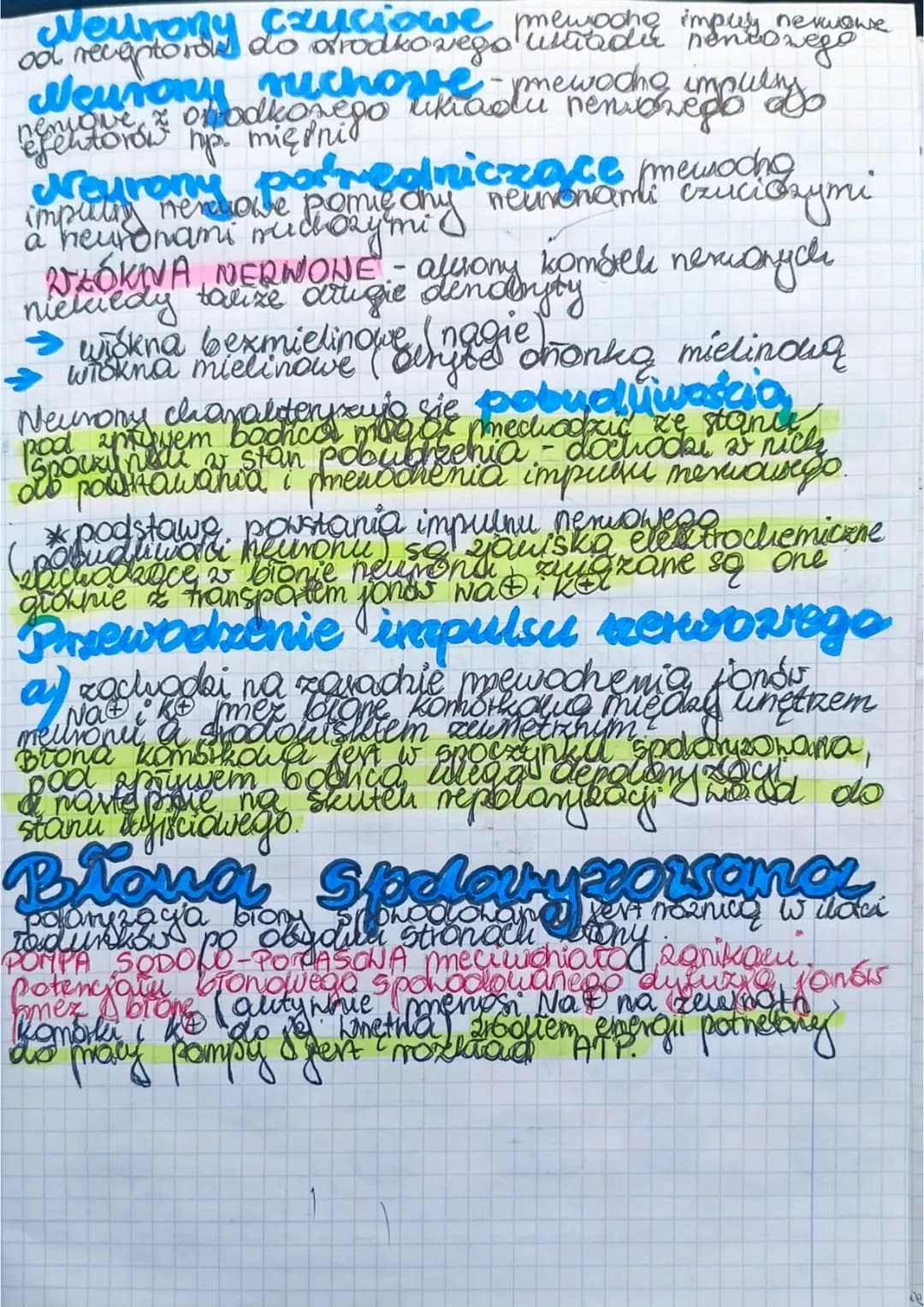 Układ
Merworry
zapewnia to
zuierzat
Środowiskiem
zewnetrznym pomer requlowance i koordwnowanie
Stok
maty organizmes. Allrad
mens nerowed u
p
