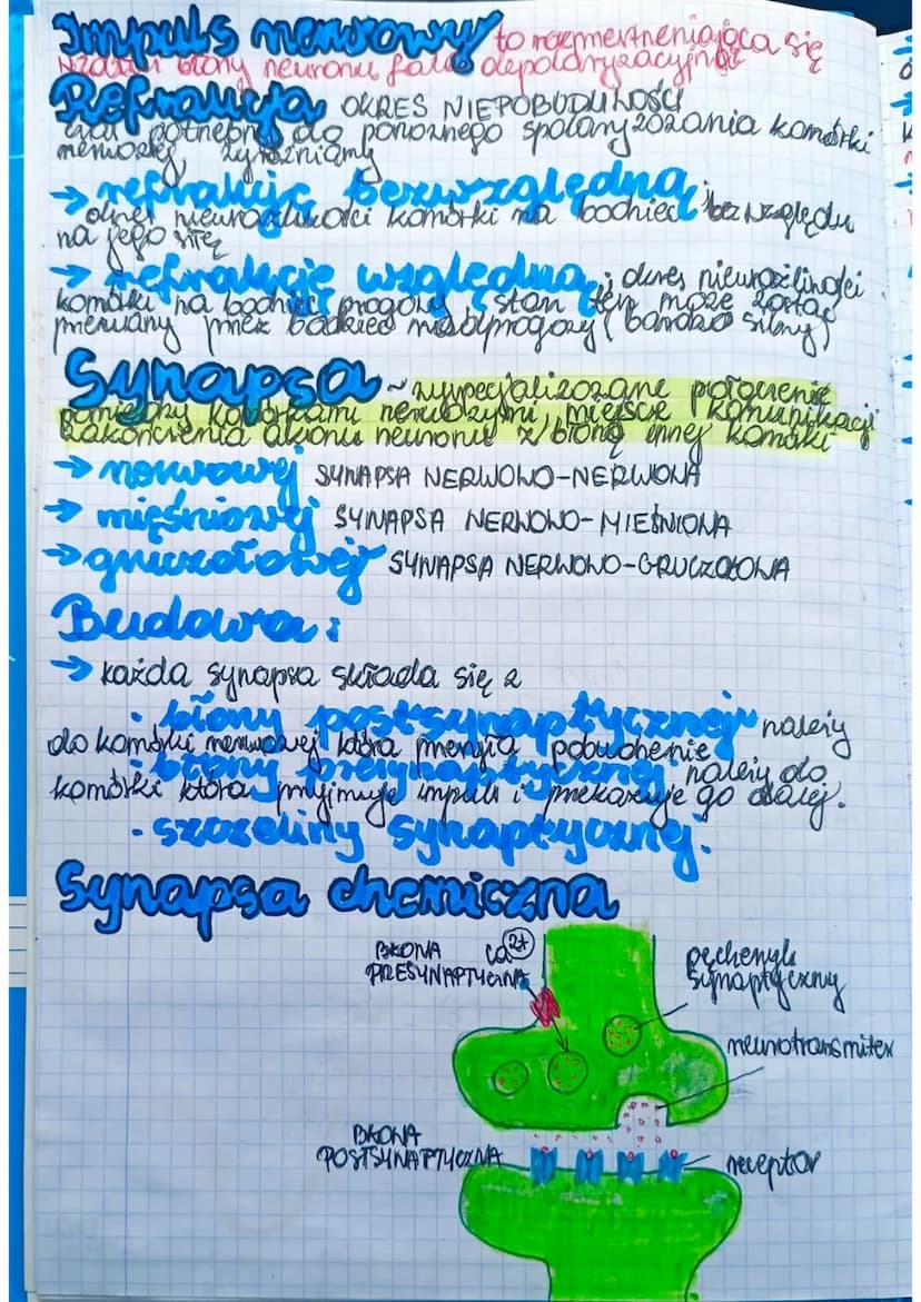 Układ
Merworry
zapewnia to
zuierzat
Środowiskiem
zewnetrznym pomer requlowance i koordwnowanie
Stok
maty organizmes. Allrad
mens nerowed u
p