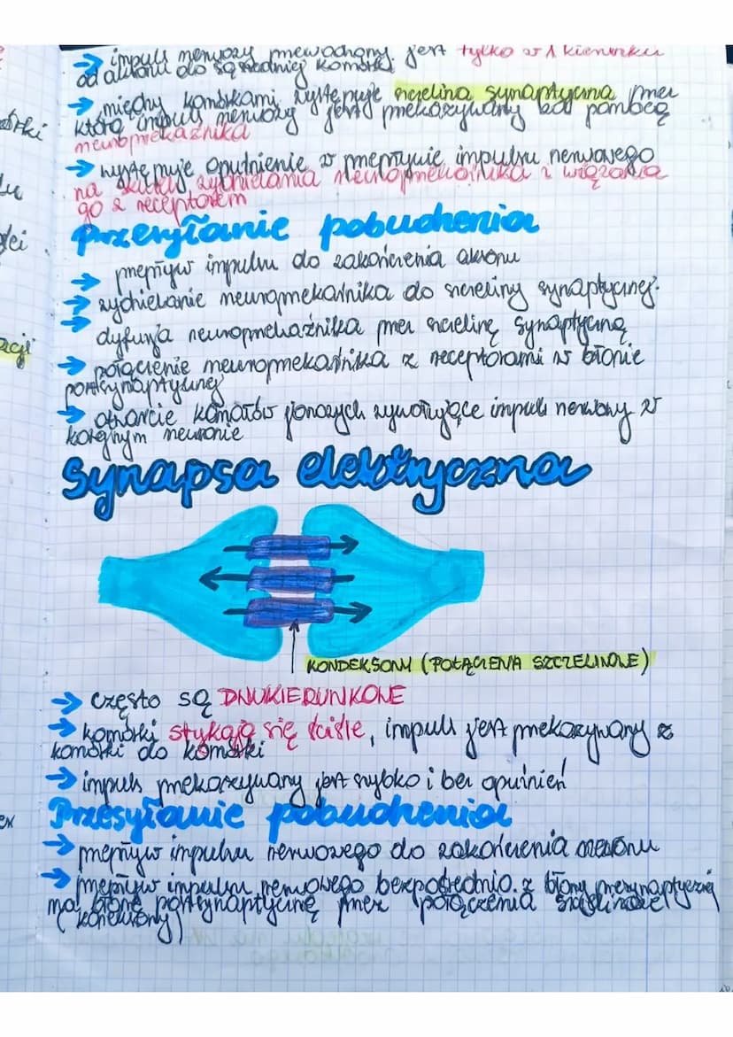 Układ
Merworry
zapewnia to
zuierzat
Środowiskiem
zewnetrznym pomer requlowance i koordwnowanie
Stok
maty organizmes. Allrad
mens nerowed u
p