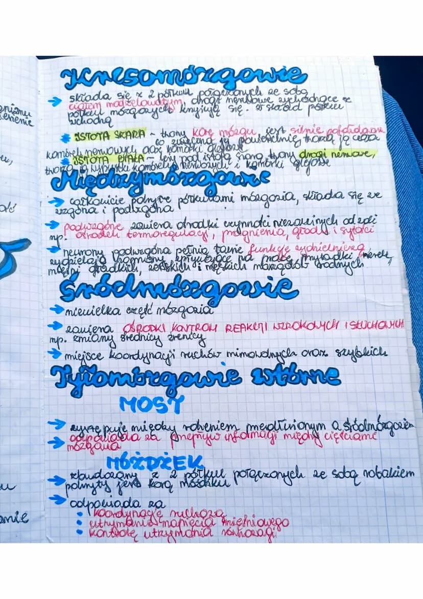 Układ
Merworry
zapewnia to
zuierzat
Środowiskiem
zewnetrznym pomer requlowance i koordwnowanie
Stok
maty organizmes. Allrad
mens nerowed u
p