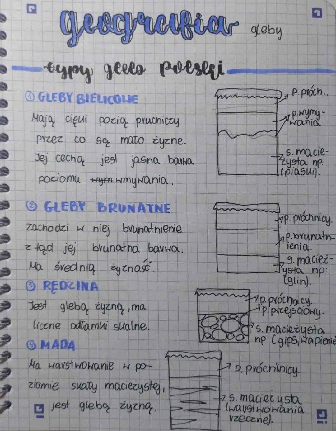 geografia doby

- typy geels poeseri

1. GLEBY BIELICOLIE

Mają cięui pozią prucniczy
przez co są mało żyzne.
Jej cechą jest jasna barna
poz