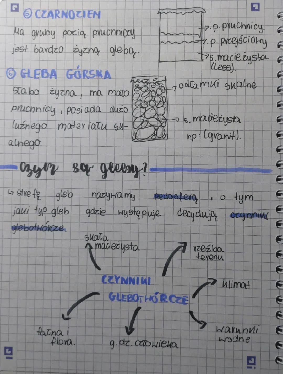 geografia doby

- typy geels poeseri

1. GLEBY BIELICOLIE

Mają cięui pozią prucniczy
przez co są mało żyzne.
Jej cechą jest jasna barna
poz
