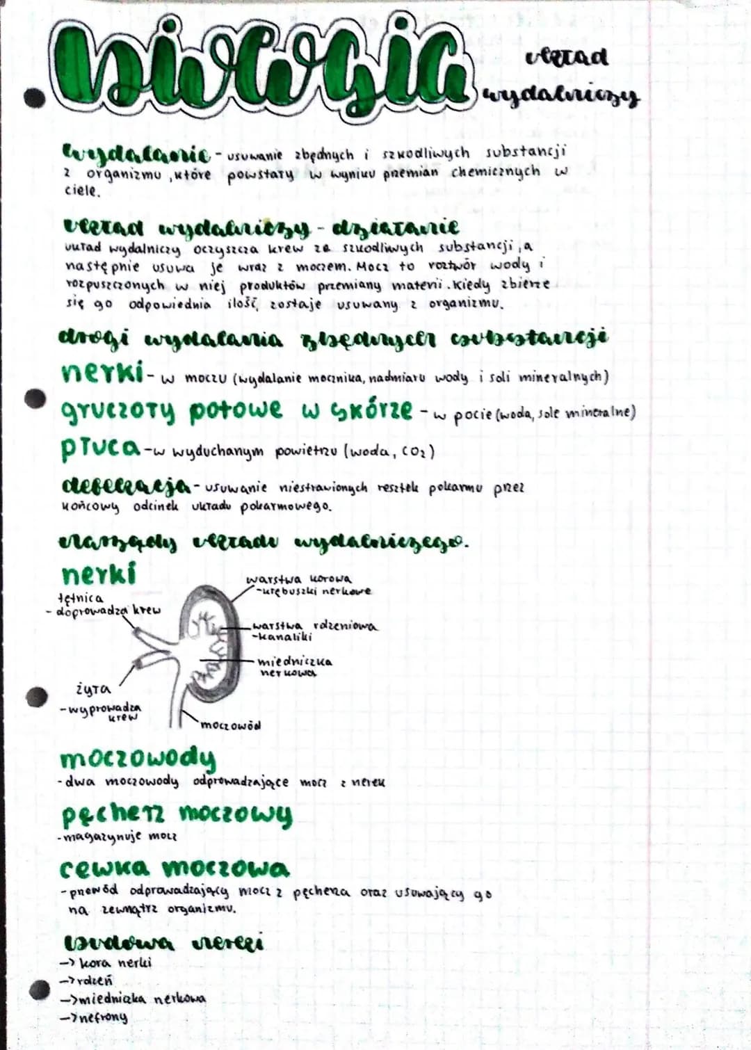 wwwsia
wydalanie - usuwanie zbędnych i szkodliwych substancji
organizmu, które powstary w wyniku przemian chemicznych w
2
ciele.
Utetaat wye