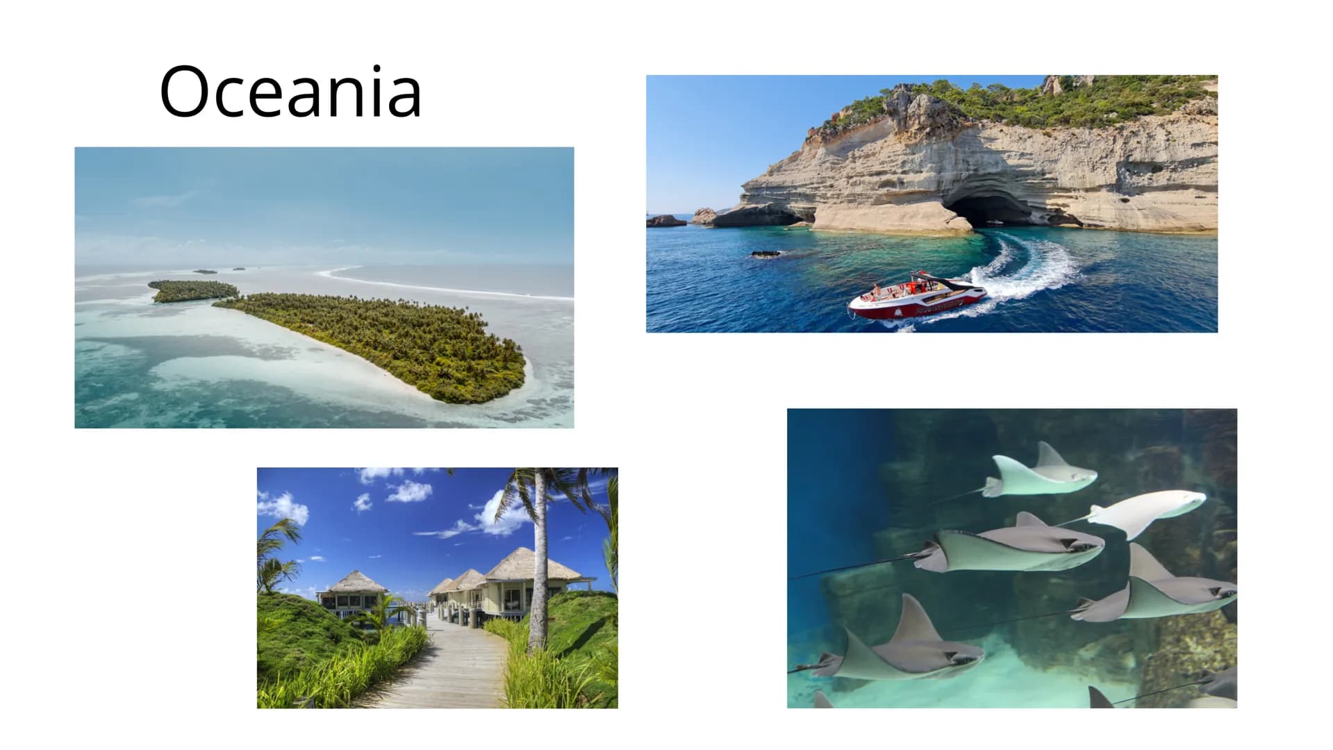 Środowisko
przyrodnicze Australii i
Oceanii Położenie
• jest najmniejszym kontynentem na Ziemi (7,7 mln km2)
leży na półkulach południowej i