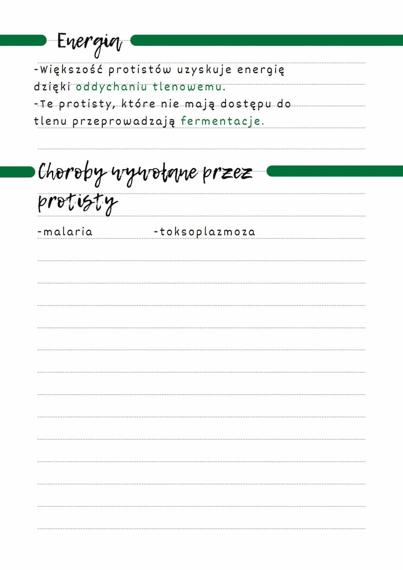 Różnorodność
protistów
występowanie
W niemal wszystkich miejscach na ziemi.
-Większość jednak żyje w wodzie lub w
wilgotnych miejscach.
Pant