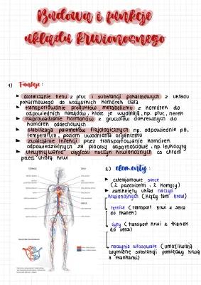 Know Budowa i funkcje układu krwionośnego  thumbnail