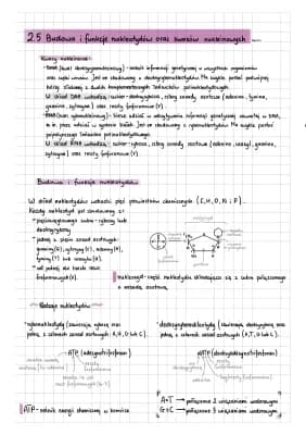 Know 2. Chemiczne podstawy życia; 2.5. Budowa i funkcje nukleotydów oraz kwasów nukleinowych thumbnail