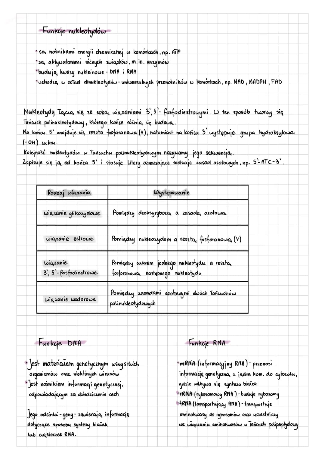 2.5 Budowa i funkcje nukleotydów oraz kwasów nukleinowych
Kwasy nukleinowe:
-DNA (kwas deoksyrybonukleinowy) - nośnik informacji genetycznej