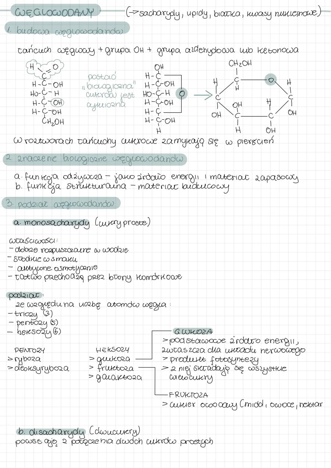 Węglowodany: Rola i Struktura