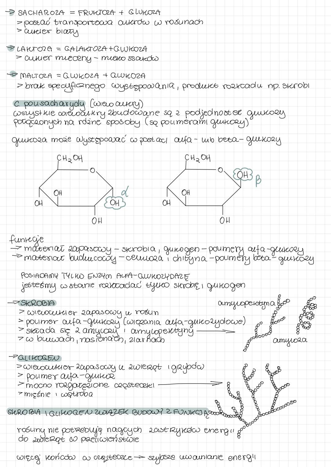 WĘGLOWODANY
H-C-OH
HO-Ć-
H
H-
OH
1. budowa węglowodandw
tancuch argwowy + grupa OH + джера ardenydowa шb ketonowa
CH₂OH
н-с-он
CH₂OH
(sachar