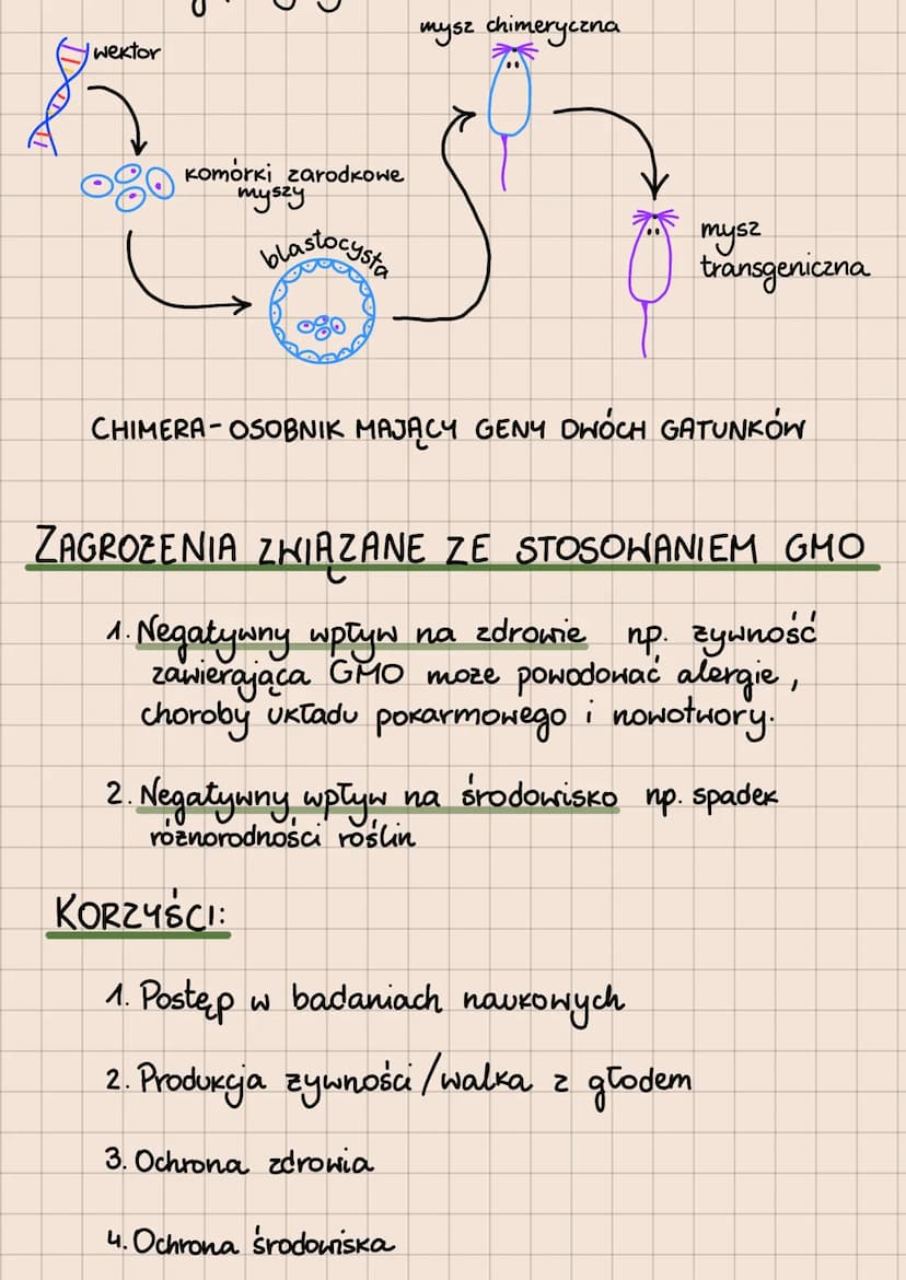 BIOTECHNOLOGIA
- WYKORZYSTYWANIE ORGANIZMÓW, KOMÓREK I ICH
CZĘŚCI W CELU OSIĄGNIĘCIA JAK NAJWIĘKSZYCH KORZYŚCI
Podział biotechnologii ze wzg