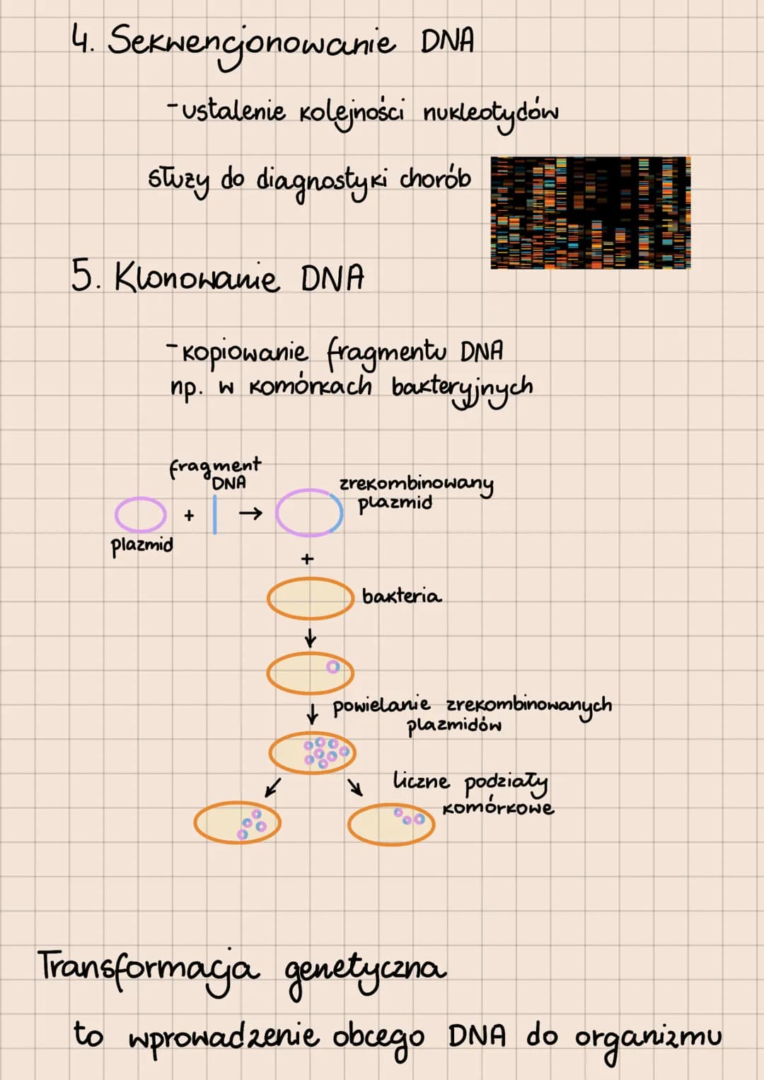 BIOTECHNOLOGIA
- WYKORZYSTYWANIE ORGANIZMÓW, KOMÓREK I ICH
CZĘŚCI W CELU OSIĄGNIĘCIA JAK NAJWIĘKSZYCH KORZYŚCI
Podział biotechnologii ze wzg