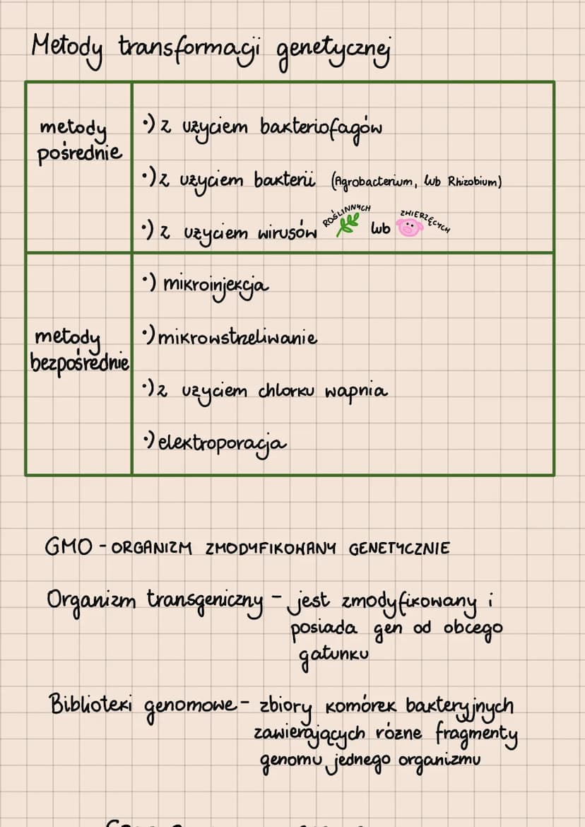 BIOTECHNOLOGIA
- WYKORZYSTYWANIE ORGANIZMÓW, KOMÓREK I ICH
CZĘŚCI W CELU OSIĄGNIĘCIA JAK NAJWIĘKSZYCH KORZYŚCI
Podział biotechnologii ze wzg