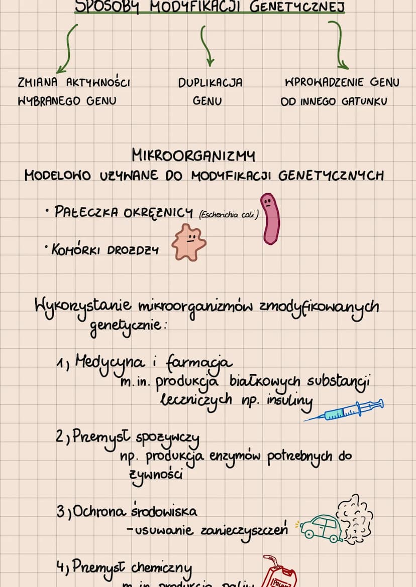 BIOTECHNOLOGIA
- WYKORZYSTYWANIE ORGANIZMÓW, KOMÓREK I ICH
CZĘŚCI W CELU OSIĄGNIĘCIA JAK NAJWIĘKSZYCH KORZYŚCI
Podział biotechnologii ze wzg