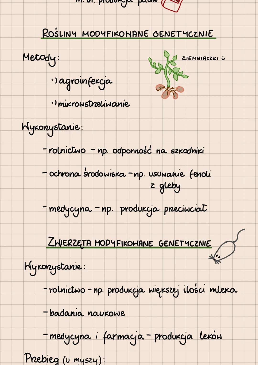 BIOTECHNOLOGIA
- WYKORZYSTYWANIE ORGANIZMÓW, KOMÓREK I ICH
CZĘŚCI W CELU OSIĄGNIĘCIA JAK NAJWIĘKSZYCH KORZYŚCI
Podział biotechnologii ze wzg