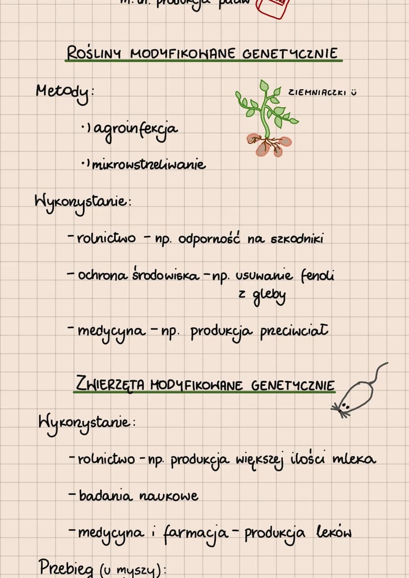 BIOTECHNOLOGIA
- WYKORZYSTYWANIE ORGANIZMÓW, KOMÓREK I ICH
CZĘŚCI W CELU OSIĄGNIĘCIA JAK NAJWIĘKSZYCH KORZYŚCI
Podział biotechnologii ze wzg