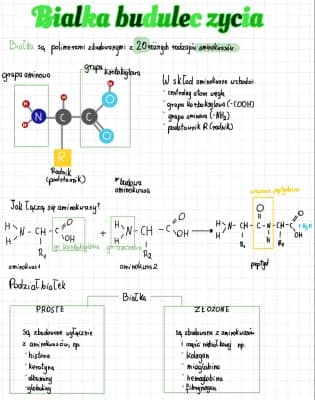 Know białka - budulec życia  thumbnail