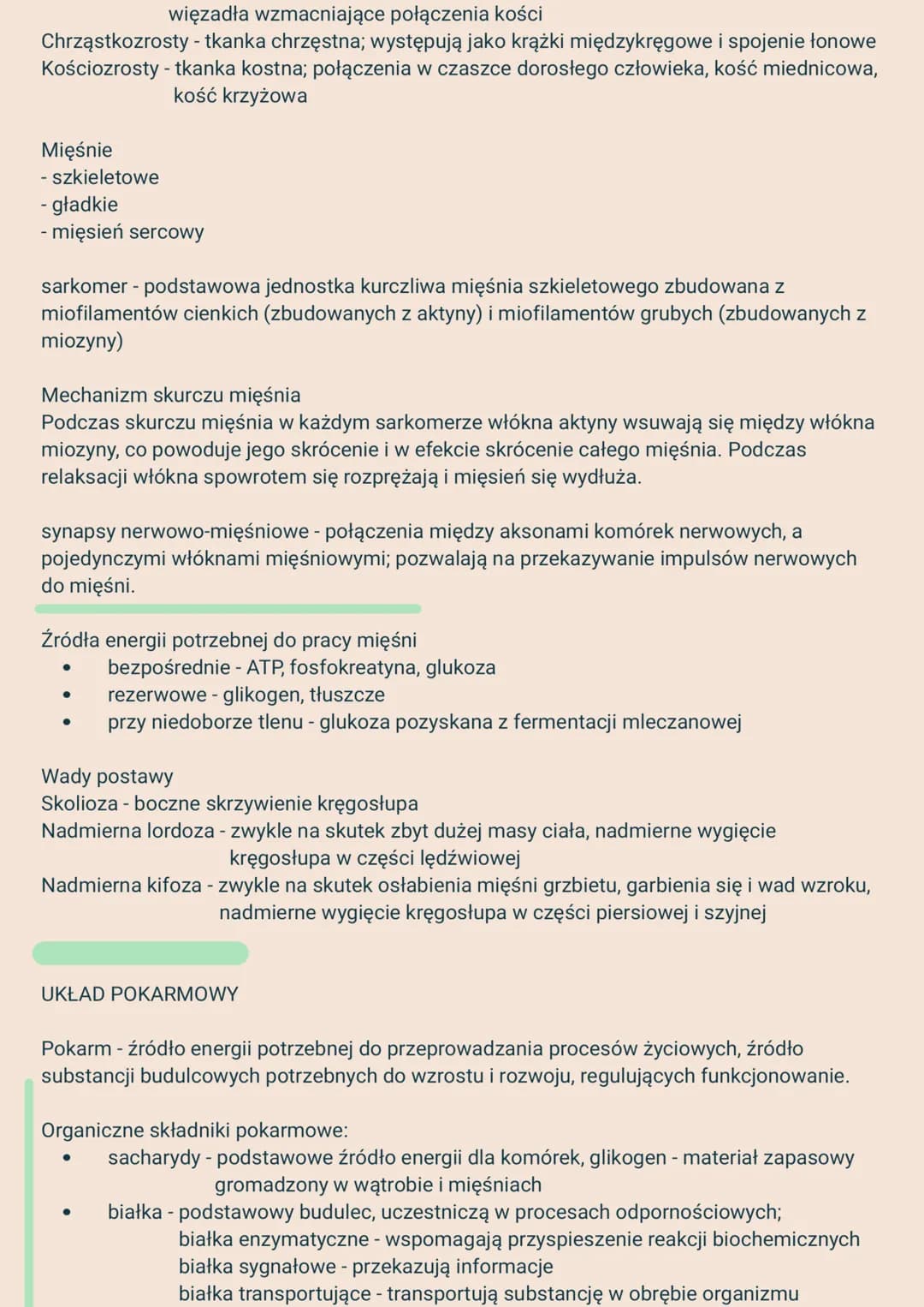 2.
Układy narządów i ich funkcje:
1. Układ powłokowy - skóra - chroni przed urazami mechanicznymi i infekcjami,
3.
ANATOMIA I FIZJOLOGIA CZŁ