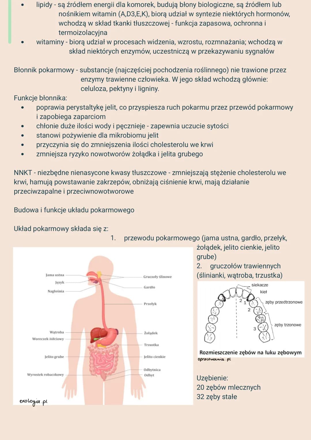 2.
Układy narządów i ich funkcje:
1. Układ powłokowy - skóra - chroni przed urazami mechanicznymi i infekcjami,
3.
ANATOMIA I FIZJOLOGIA CZŁ