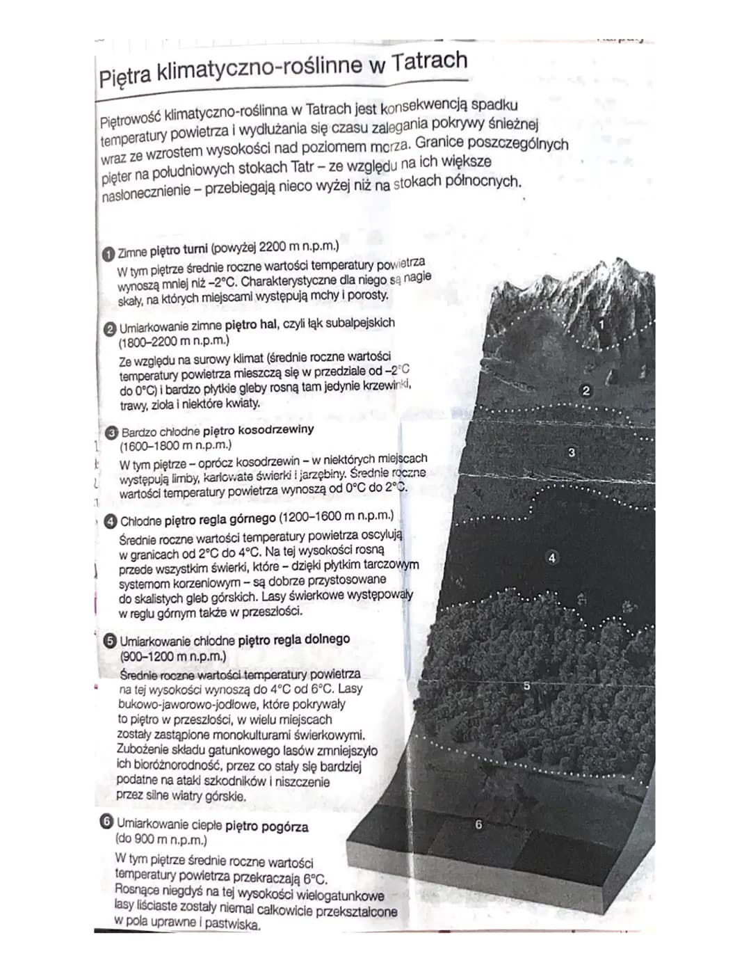 
<h2 id="pooenieobszaripodziatatr">Położenie, obszar i podział Tatr</h2>
<p>Tatry leżą w środkowej części Karpat Zachodnich, gdzie od połudn