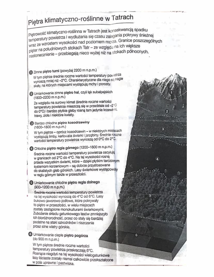 
<h2 id="pooenieobszaripodziatatr">Położenie, obszar i podział Tatr</h2>
<p>Tatry leżą w środkowej części Karpat Zachodnich, gdzie od połudn