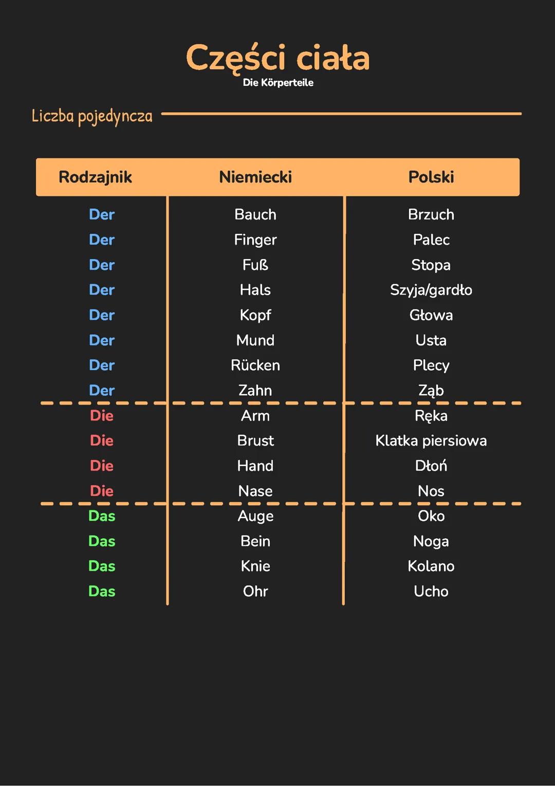Części Ciała po Niemiecku - Naucz się Die Körperteile