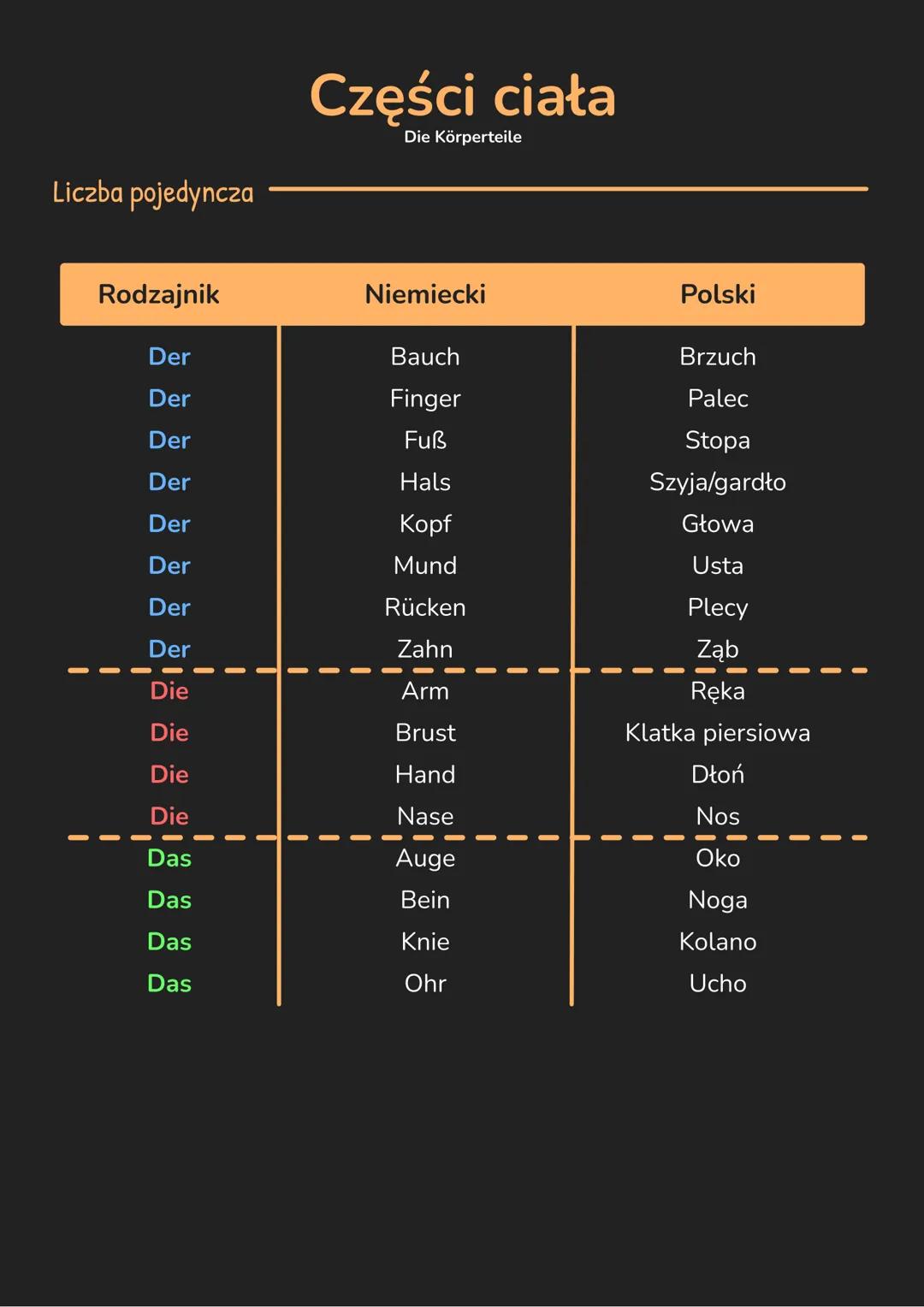 --- OCR Start ---
Liczba pojedyncza
Części ciała
Die Körperteile
Rodzajnik
Niemiecki
Polski
Der
Bauch
Brzuch
Der
Finger
Palec
Der
Fuss
Stopa