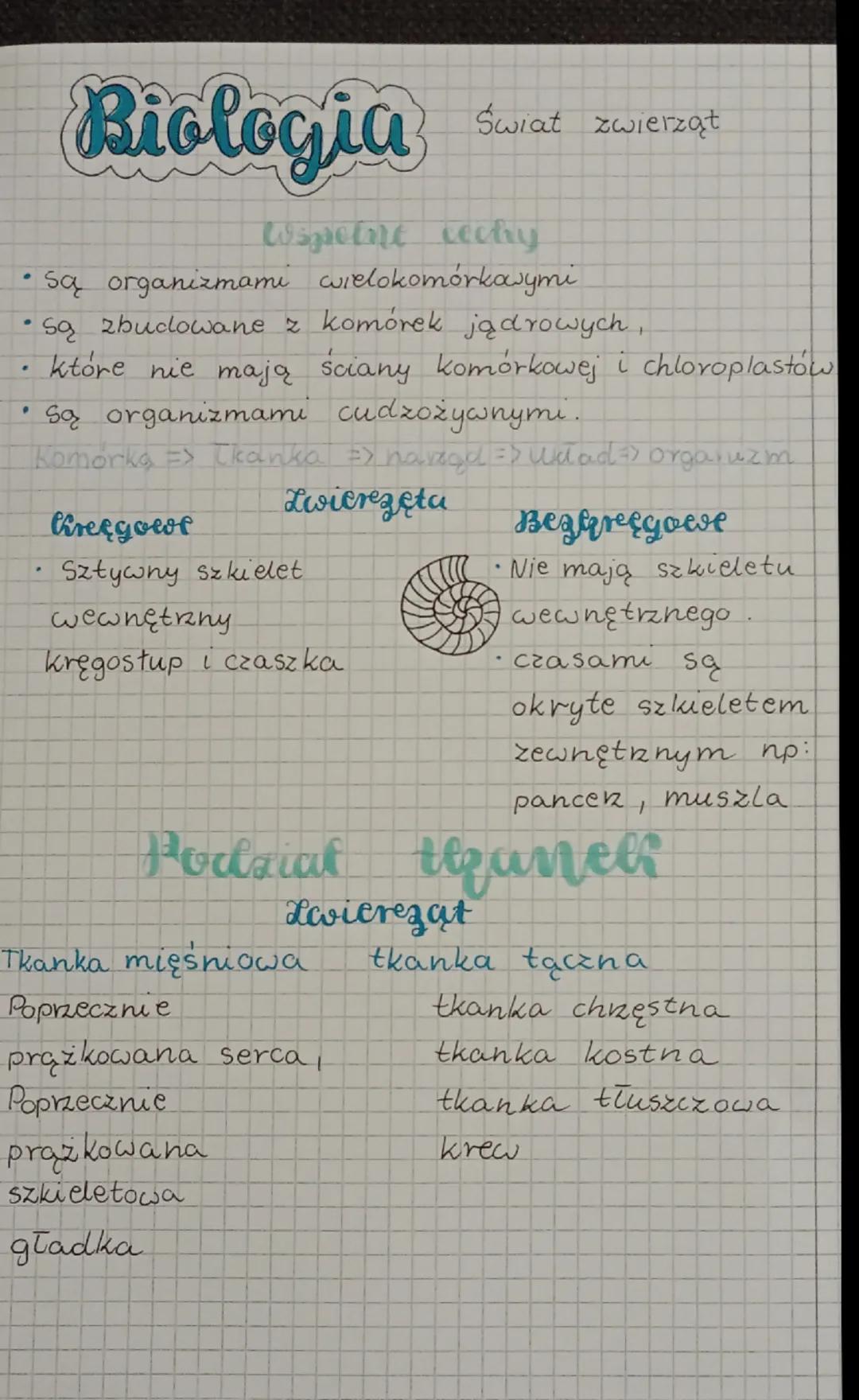 Biologia
Świat zwierząt
Wsprotne cechy
• są organizmami wielokomórkowymi
• są zbudowane z komórek jądrowych,
· które nie mają ściany komórko