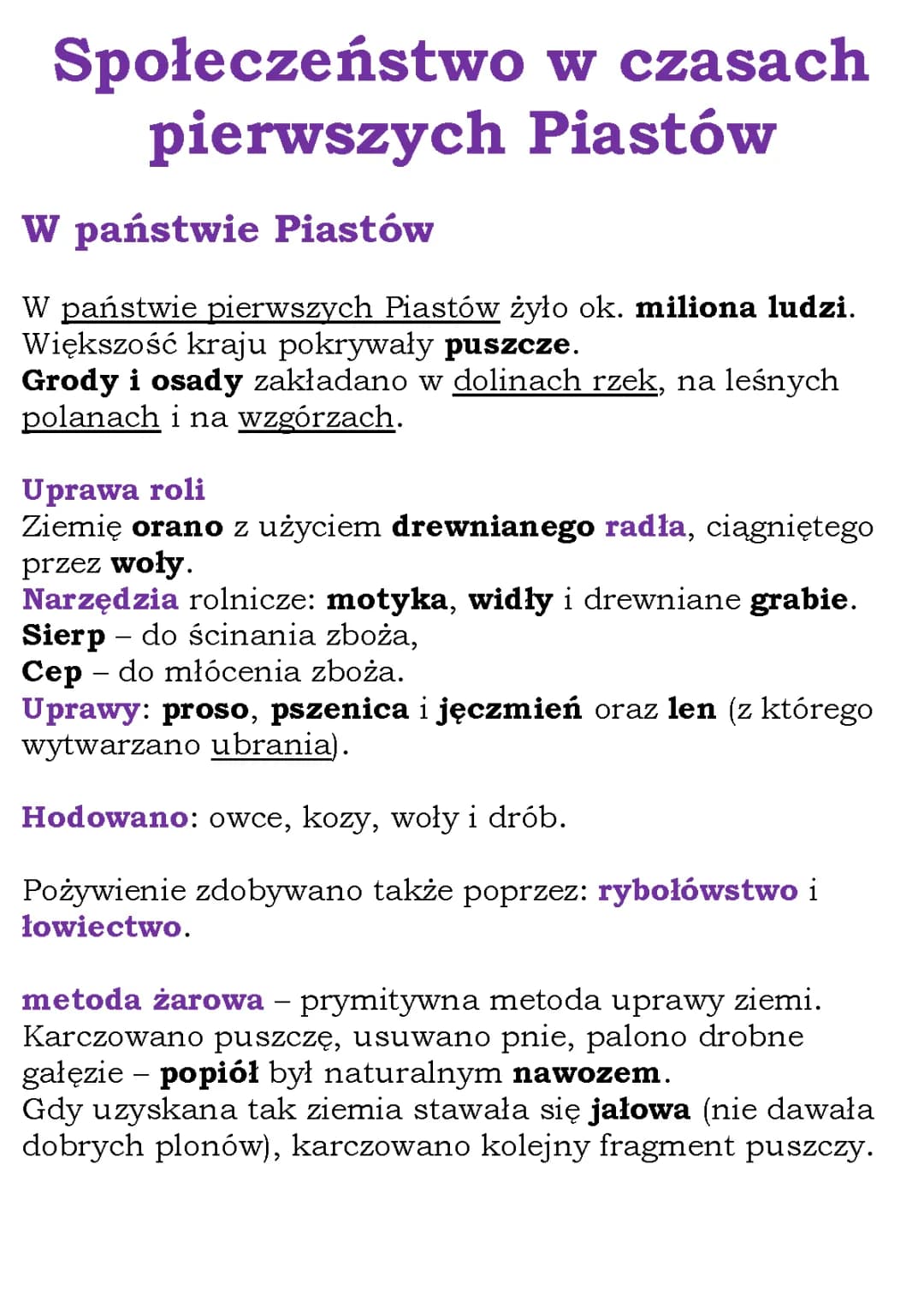 Społeczeństwo w czasach pierwszych Piastów klasa 5 – notatka i test