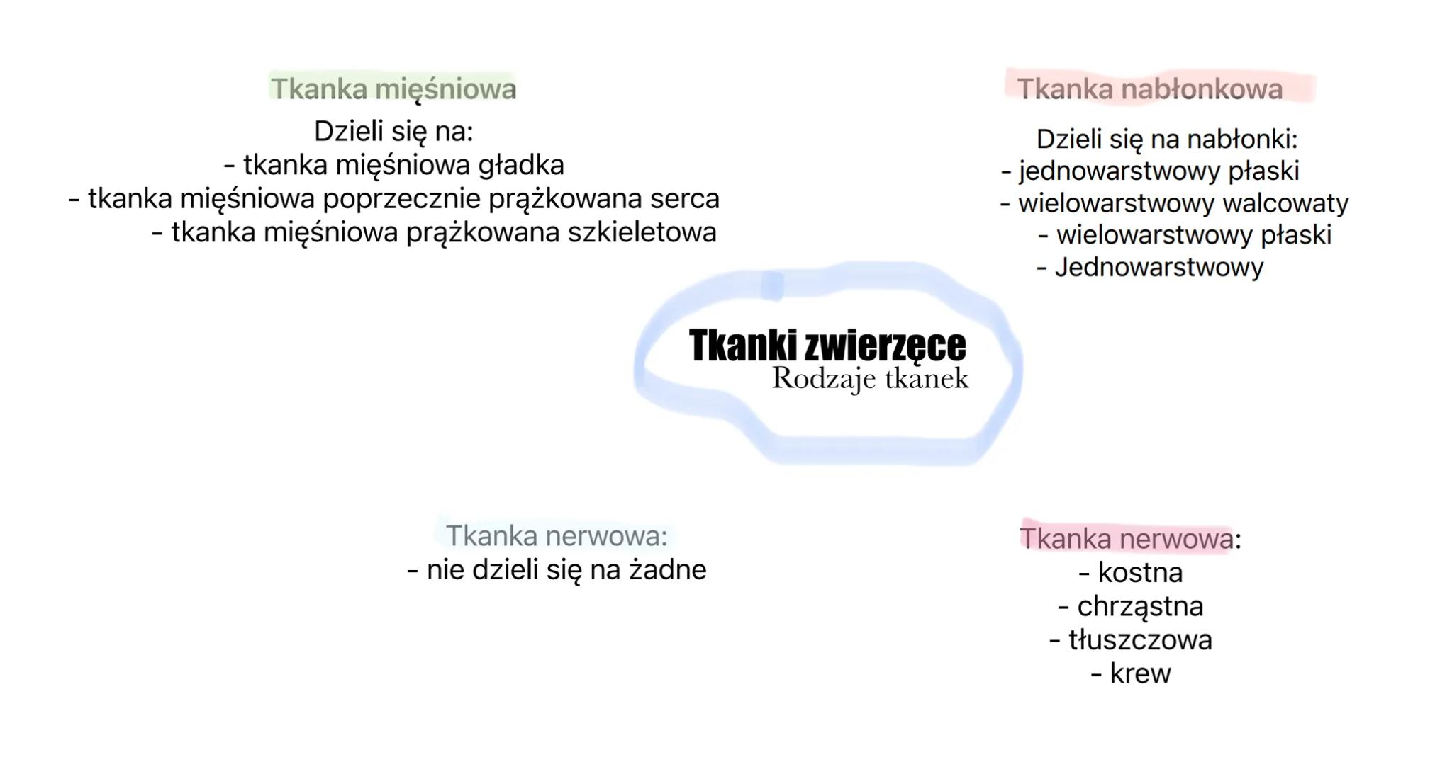 Tkanka mięśniowa
Dzieli się na:
- tkanka mięśniowa gładka
- tkanka mięśniowa poprzecznie prążkowana serca
- tkanka mięśniowa prążkowana szki