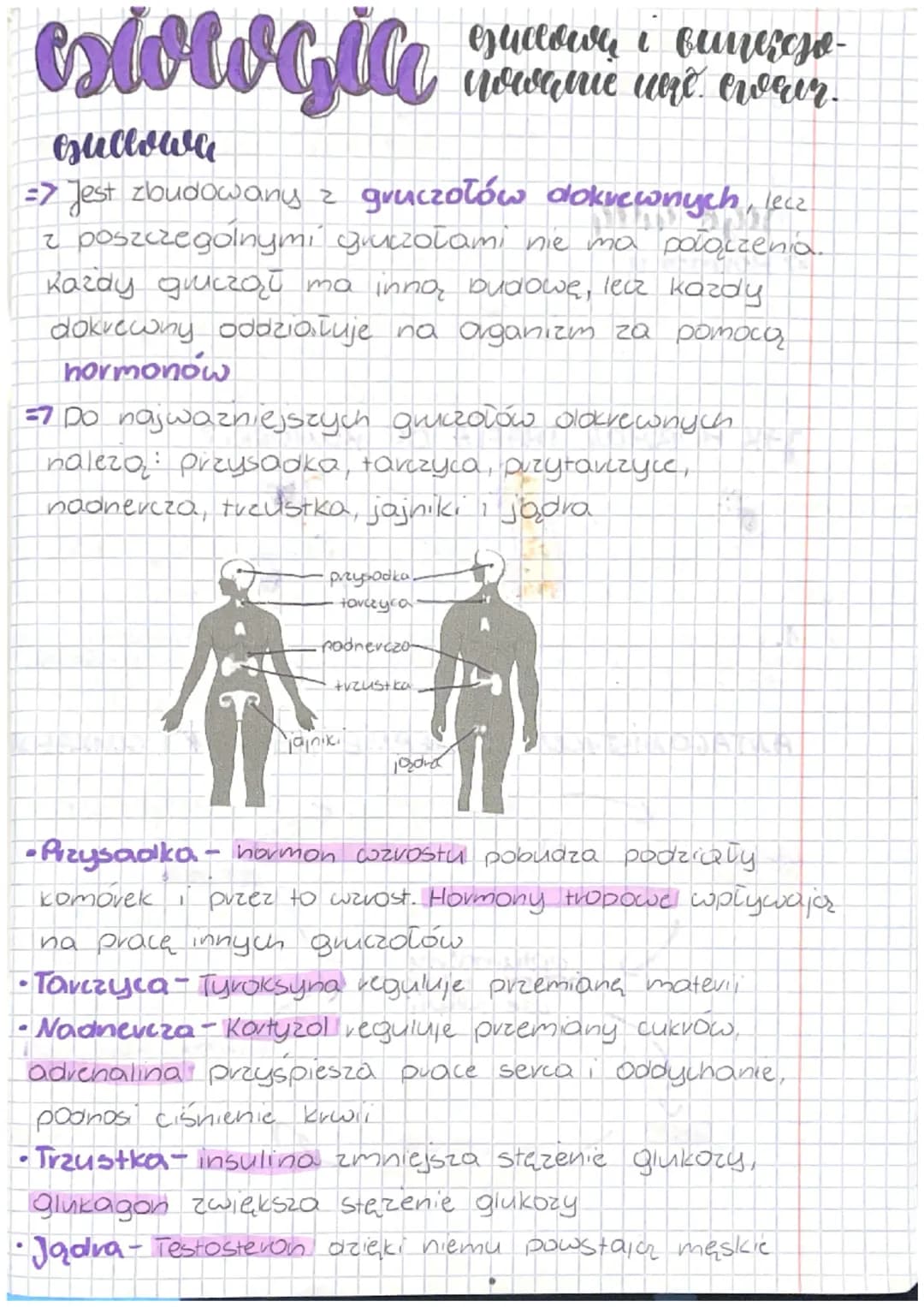 estowgia
esuclown
Gudlowy i funereo-
nowane were ever.
esullowa
=> Jest zbudowany z gruczołów dokrewnych, lecz
z poszczególnymi gruczołami n