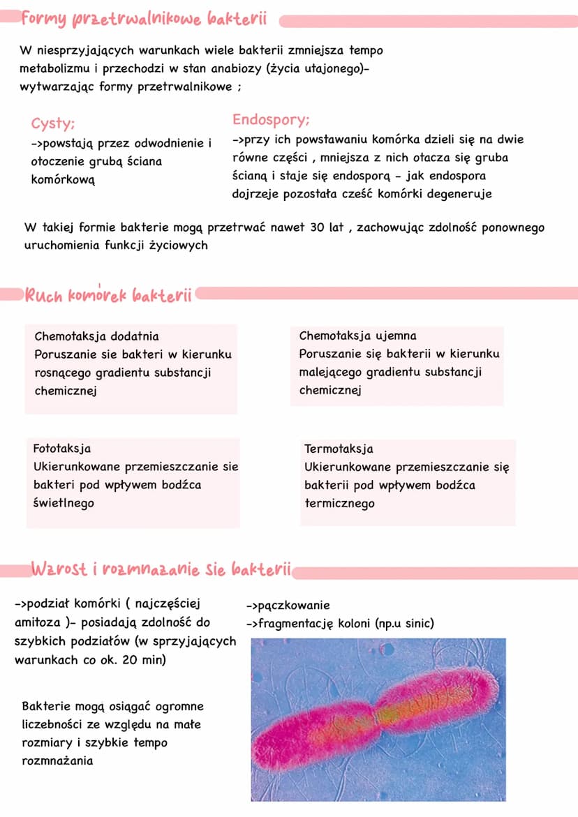 Bakterie i archeowce
-> są organizmami prokariotycznymi
(bez jądra komórkowego)
-> są organizmami
kosmopolitycznymi- występują na
całej kuli