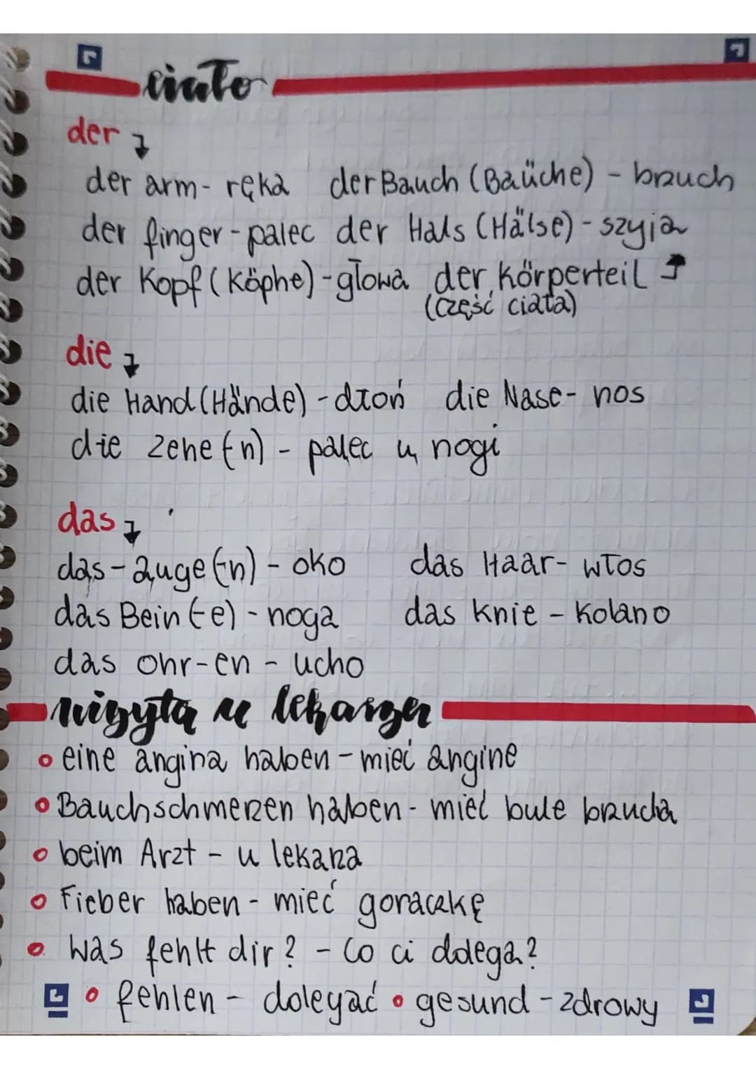 tinto
der
7
der arm- ręka der Bauch (Baüche) - bruch
der finger-palec der Hals (Hälse) - szyja
der Kopf (Köphe)-glowa der körperteil
(część 